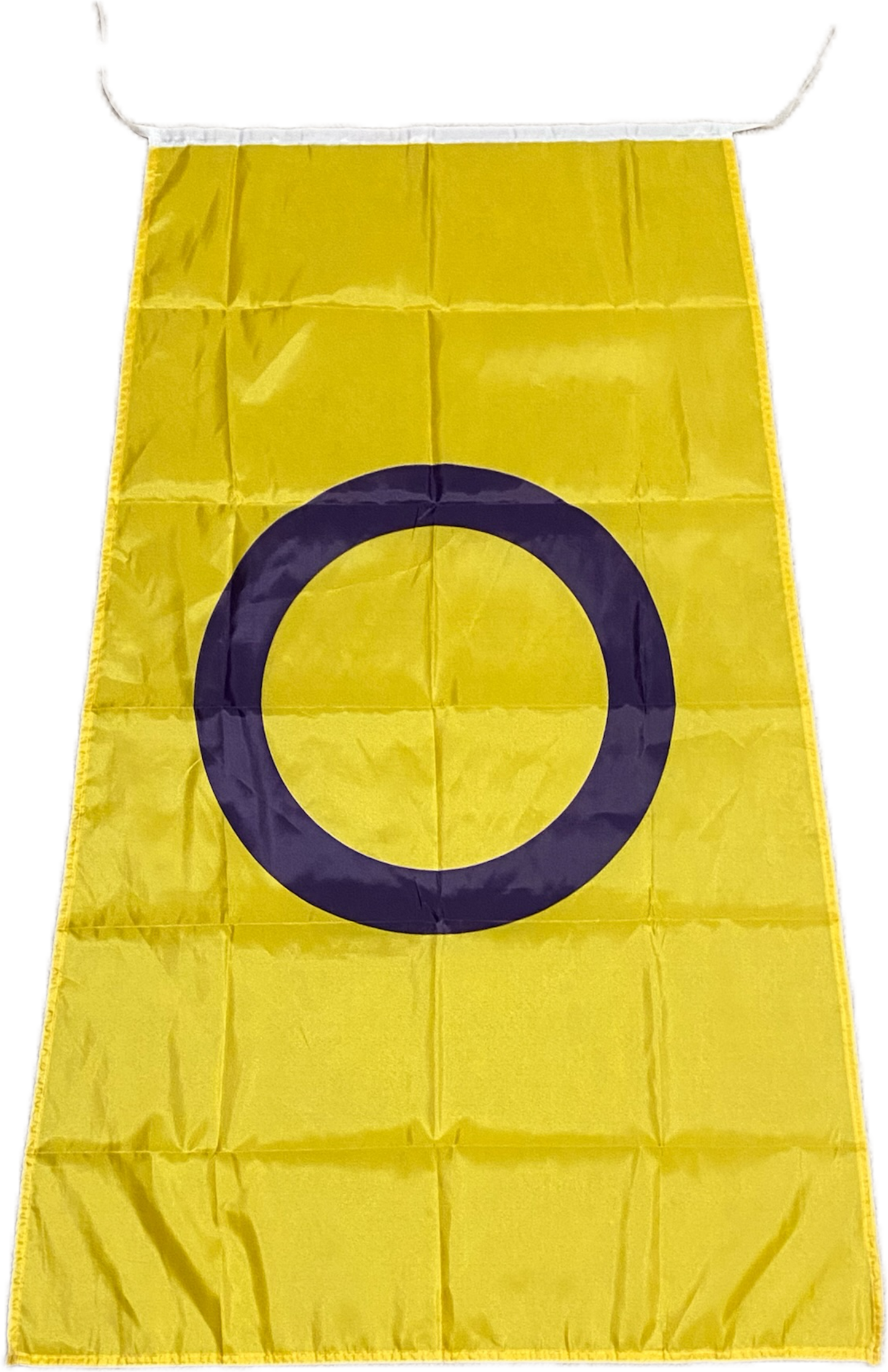 Pride Heroes Intersex Cape